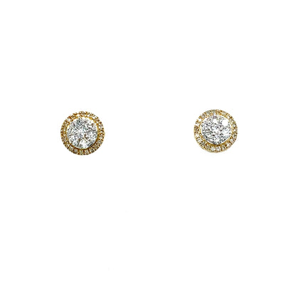Gold and Diamond Earring 10kt(0.52 ct)