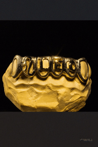 Custom “LEO” Letter Grillz with Zodiac Sign & Diamond Dust Finish(Sold as set)